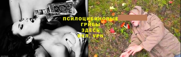 гашик Медвежьегорск