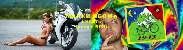 прущие грибы Магас