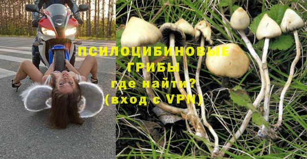трава Медногорск