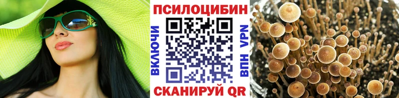 блэк спрут   Ликино-Дулёво  Галлюциногенные грибы прущие грибы  сколько стоит 