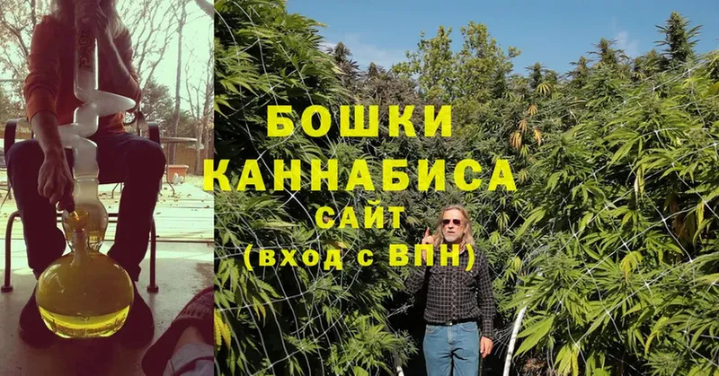 Канабис SATIVA & INDICA  магазин продажи наркотиков  нарко площадка официальный сайт  Ликино-Дулёво 